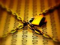 企業(yè)安全實(shí)踐:數(shù)據(jù)安全需更多調(diào)查措施