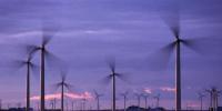 美埃克西爾能源采購電力建風(fēng)電場(chǎng)