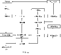 物資管理 信息系統(tǒng)在清河發(fā)電有限責任公司的開發(fā)應用 