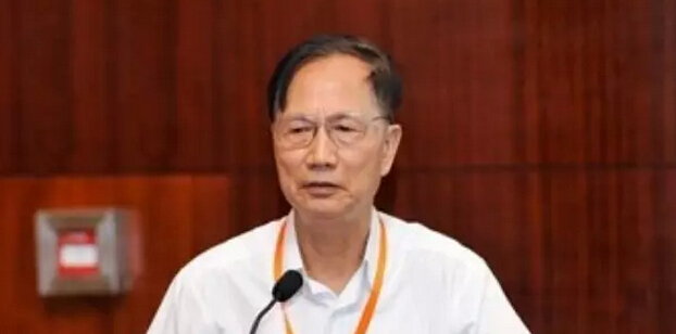 中國(guó)科學(xué)院院士張鈸:用人工智能讀懂大數(shù)據(jù)