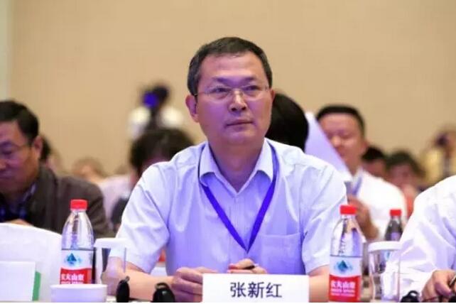 張新紅：信息化是中國發(fā)展的最大機遇