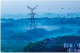 北京：電線桿頭掛小熊 電網(wǎng)驅(qū)鳥(niǎo)出新招