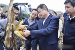 陽(yáng)城讓焚燒秸稈行為“歸零”