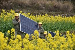 陽(yáng)光扶貧進(jìn)行時(shí)