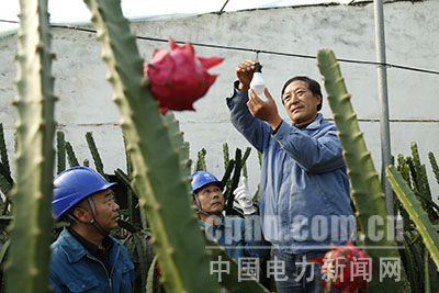 W020171208539235059530