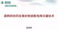 【焦點(diǎn)】源網(wǎng)荷協(xié)同發(fā)展的<font color=