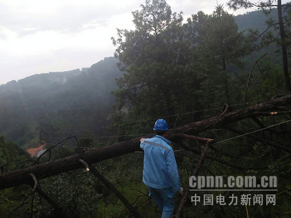 W020170904379766991514