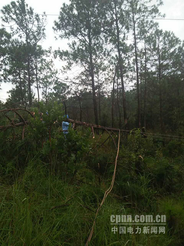 W020170904379766998055