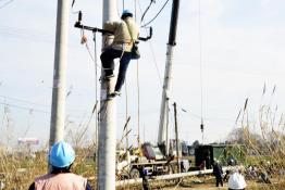 特事特辦服務(wù)50億“巨無霸”項(xiàng)目