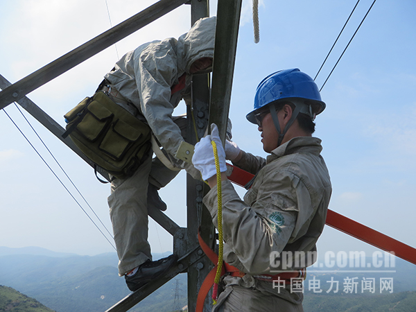 W020170727367538567391