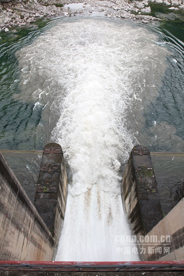 W020170721352089210688