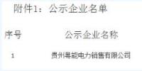 貴州新公示1家售電公司 貴州粵能電力銷(xiāo)售有限公司