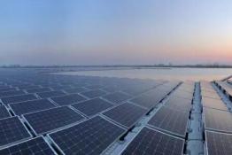 單體最大！不同尋常的水面電站