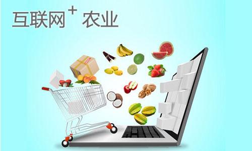 以果沙漠打造互聯(lián)網(wǎng)+訂單農(nóng)業(yè)