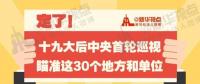 定了！華電集團(tuán)、中核集團(tuán)將接受十九屆中央第一輪巡視