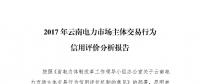 2017年云南電力市場主體交易行為信用評(píng)價(jià)分析報(bào)告