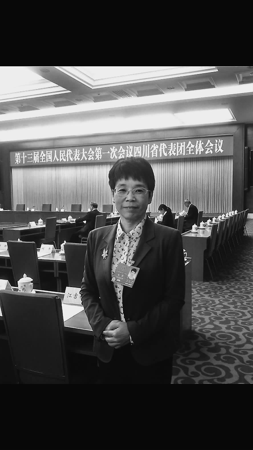 兩會(huì)訪談丨趙萍：系統(tǒng)降本促風(fēng)電高質(zhì)量開(kāi)發(fā)