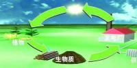 生物質(zhì)是替代核電、火電 彌補(bǔ)天然氣缺口的一種重要新能源
