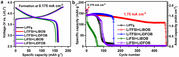 專題報(bào)道：Imide-Orthoborate雙鹽電解質(zhì)體系抑制鋰枝晶及提升鋰金屬庫侖效率的研究