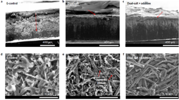 專題報(bào)道：Imide-Orthoborate雙鹽電解質(zhì)體系抑制鋰枝晶及提升鋰金屬庫侖效率的研究