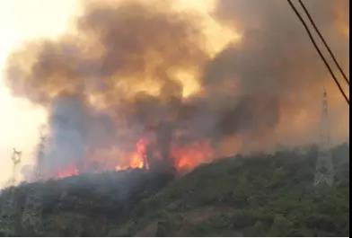 聽說(shuō)最近輸電線路和鐵塔“火”啦！