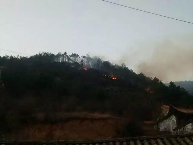 聽說(shuō)最近輸電線路和鐵塔“火”啦！