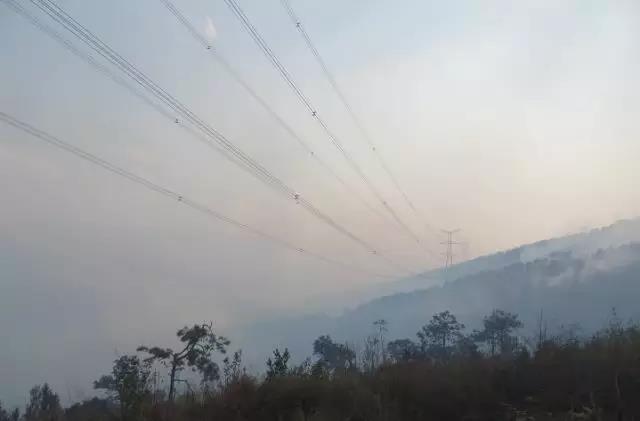 聽說(shuō)最近輸電線路和鐵塔“火”啦！
