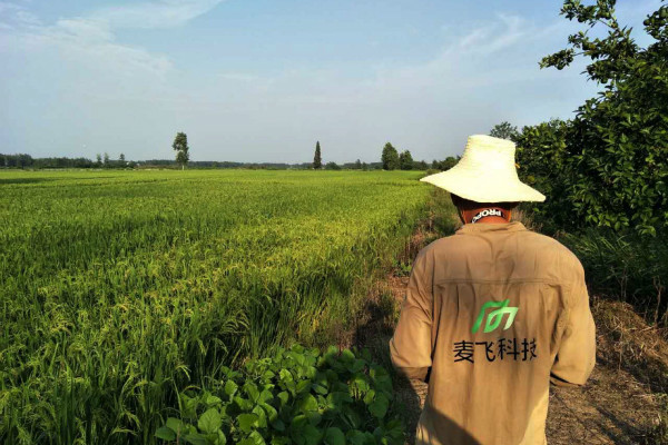 “AI+遙感”覬覦萬億級智慧農(nóng)業(yè)市場，這次沒有中間商賺差價 