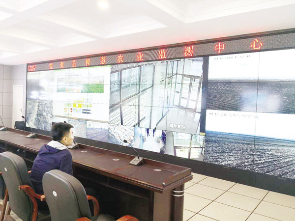 “互聯(lián)網(wǎng)+”開(kāi)啟望奎“智慧農(nóng)業(yè)”