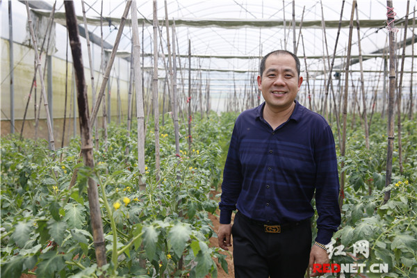 北湖區(qū)“互聯(lián)網(wǎng)+農(nóng)業(yè)”助推農(nóng)產(chǎn)品區(qū)域品牌建設