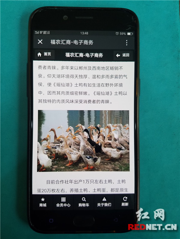 北湖區(qū)“互聯(lián)網(wǎng)+農(nóng)業(yè)”助推農(nóng)產(chǎn)品區(qū)域品牌建設