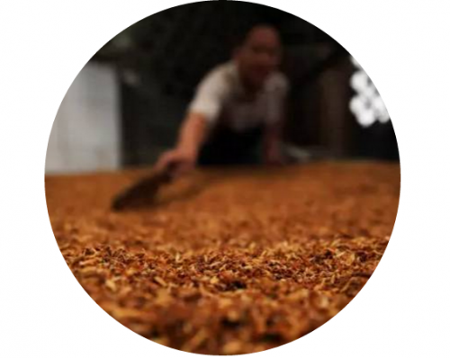 麥田國際——麥田里的守望者，“互聯(lián)網(wǎng)+農(nóng)業(yè)”的先行者