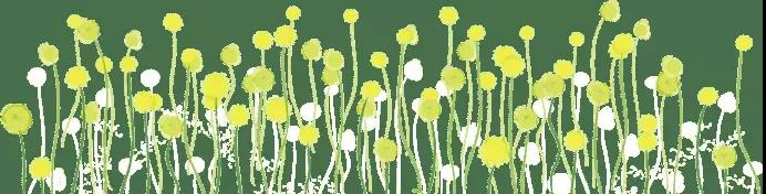 儲(chǔ)能——化解未來(lái)能源危機(jī)之匙