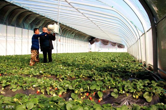 鍵盤聲替代了麻將聲，互聯(lián)網(wǎng)農(nóng)業(yè)變革正當(dāng)時