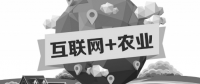 A5創(chuàng)業(yè)項(xiàng)目推薦：互聯(lián)網(wǎng)+農(nóng)業(yè)能碰撞出怎樣的新發(fā)展？