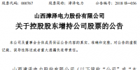 漳澤電力：控股股東<font color=