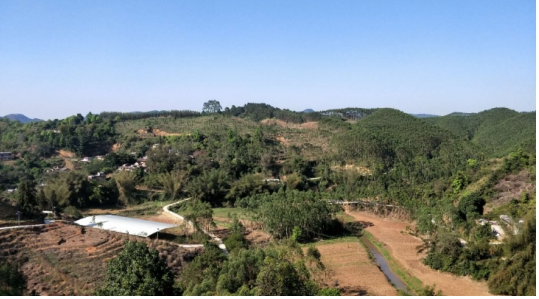 互聯(lián)網(wǎng)＋認養(yǎng)農(nóng)業(yè)，顛覆產(chǎn)業(yè)綻放輝煌