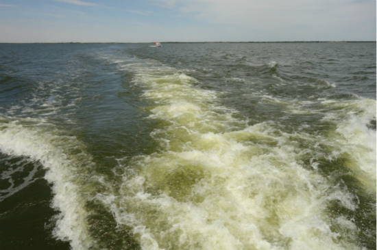 烏梁素海綜合治理規(guī)劃不嚴(yán)不實(shí) 生態(tài)環(huán)境形勢仍不樂觀