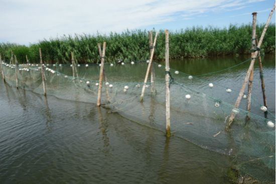 烏梁素海綜合治理規(guī)劃不嚴(yán)不實(shí) 生態(tài)環(huán)境形勢仍不樂觀