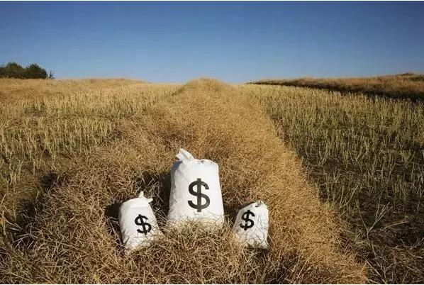 顛覆！裂變！賦能！互聯(lián)網(wǎng)+農(nóng)業(yè)領(lǐng)域的“豬飛起來了”