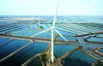 高空甜甜圈？這玩意兒可不是用來吃的！