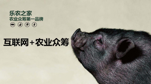 互聯(lián)網(wǎng)+農(nóng)業(yè)眾籌只賺吆喝 利潤全被用戶拿走了？