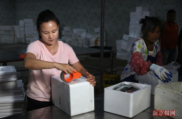 “互聯(lián)網(wǎng)+農(nóng)業(yè)”，創(chuàng)造農(nóng)村發(fā)展新活力