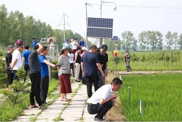 黑龍江落實(shí)“互聯(lián)網(wǎng)+農(nóng)業(yè)”高標(biāo)準(zhǔn)示范基地1458個(gè)
