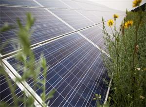 歐洲復(fù)興開發(fā)銀行為太陽(yáng)能發(fā)電廠提供貸款