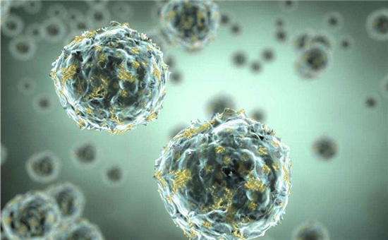 科學(xué)家研制新型生物電池，以廢水中的細(xì)菌為“電源”