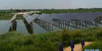 河北滄州推進(jìn)“光伏電站<font color=