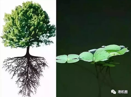 插樁式、坐底式 詳解海上風電安裝平臺的作業(yè)方式