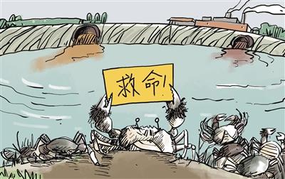 上游污水“毒死”萬畝大閘蟹，誰擔(dān)其責(zé)？