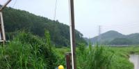 南方電網(wǎng)廣東鶴山供電局：積極應對強降雨，快速處置多起隱患